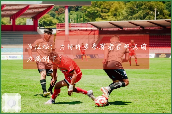 马拉松：为何许多参赛者在终点前力竭倒下？