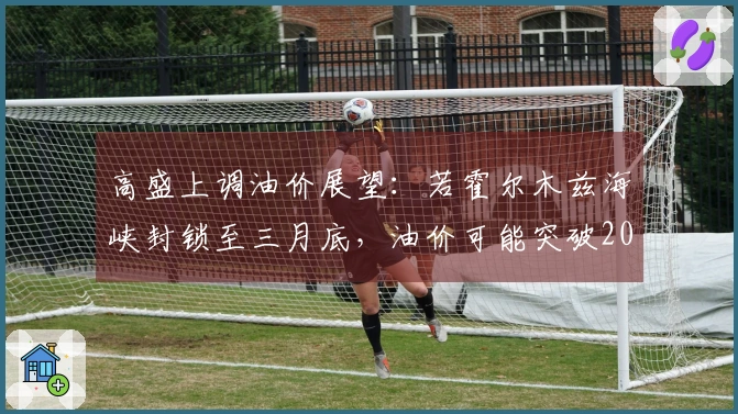 高盛上调油价展望：若霍尔木兹海峡封锁至三月底，油价可能突破2008年高点