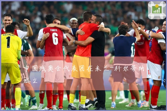 中国残奥会代表团在米兰-科尔蒂纳成立